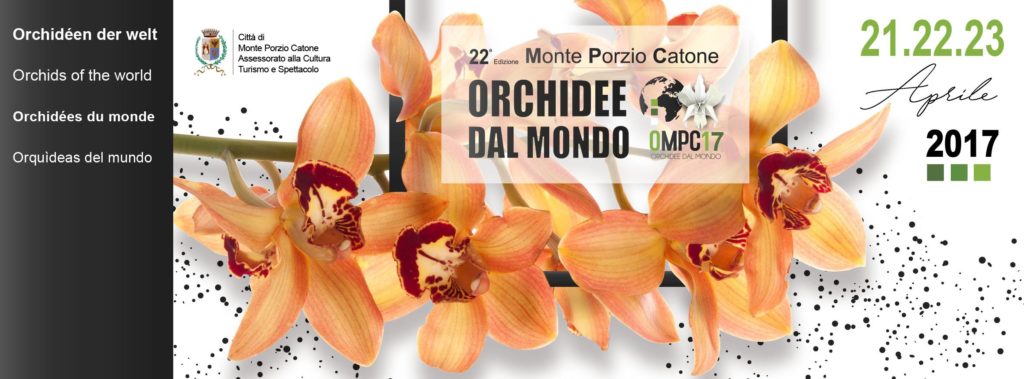 orchidee dal mondo roma