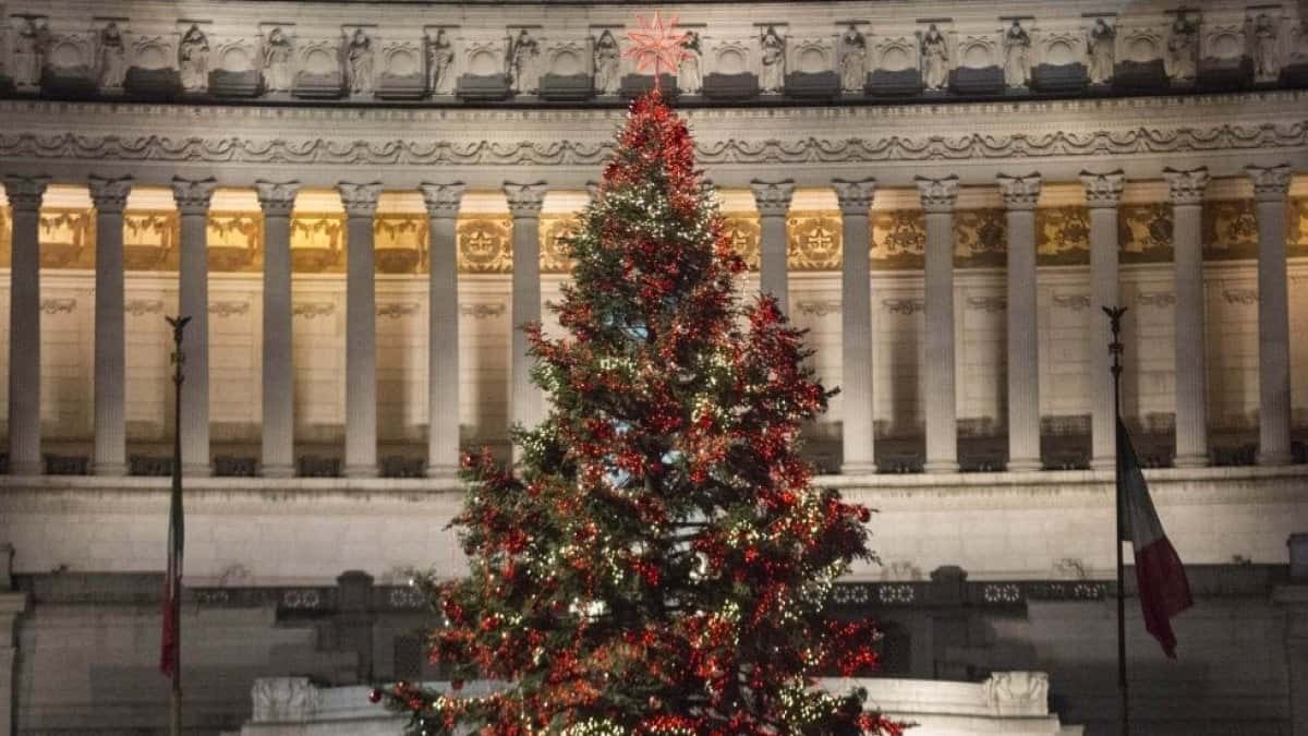 Addobbi Natalizi Roma.Natale A Roma Spelacchio Torna A Piazza Venezia Con Luci Sfere E Cristalli Di Neve