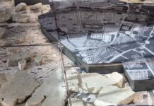 Domenica musei gratis a Roma: cosa visitare il 4 ottobre 2026 parco
