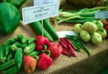 Mercati rionali di Roma: 7 indirizzi per spesa e street food mercato