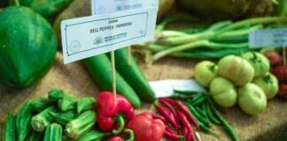 Mercati rionali di Roma: 7 indirizzi per spesa e street food mercato
