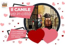 Il canile va in città, edizione speciale per San Valentino san valentino