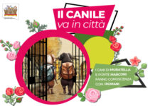 “Il canile va in città” a Parco Schuster cani