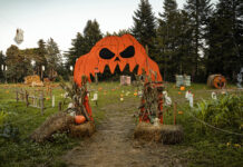 Campi di zucche vicino Roma: i pumpkin patch da scoprire Campi di zucche vicino Roma: i pumpkin patch da scoprire