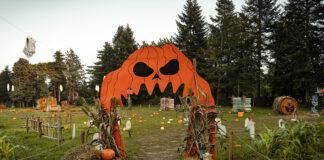Campi di zucche vicino Roma: i pumpkin patch da scoprire Campi di zucche vicino Roma: i pumpkin patch da scoprire