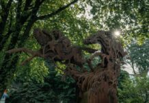 Scopri il museo a cielo aperto tra i boschi vicino Roma A Rocca di Papa, vicino Roma, c’è il Museo Diffuso del Bosco: un percorso tra arte e natura con sculture, animali in Corten e un gigantesco binocolo sul Lago di Nemi.