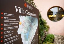Lezioni di giardinaggio a Villa Gregoriana: impara a curare le rose Lezioni di giardinaggio a Villa Gregoriana: impara a curare le rose