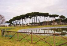 Villa Guglielmi: concerto gratuito nella pineta di Fiumicino Villa Guglielmi: concerto gratuito nella pineta di Fiumicino