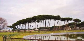 Villa Guglielmi: concerto gratuito nella pineta di Fiumicino Villa Guglielmi: concerto gratuito nella pineta di Fiumicino