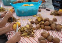 Sagra della Patata e della Zucca: due giorni ad Agricoltura Nuova Sagra della Patata e della Zucca: due giorni ad Agricoltura Nuova