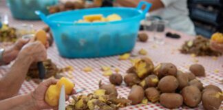 Sagra della Patata e della Zucca: due giorni ad Agricoltura Nuova Sagra della Patata e della Zucca: due giorni ad Agricoltura Nuova