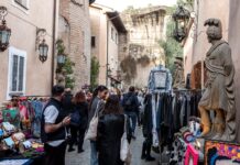 Ficus al Massimo: il market dentro un museo vicino Circo Massimo Ficus al Massimo: il market dentro un museo vicino Circo Massimo
