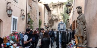 Ficus al Massimo: il market dentro un museo vicino Circo Massimo Ficus al Massimo: il market dentro un museo vicino Circo Massimo