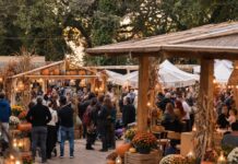 Il Bosco Stregato delle Zucche arriva a Marino Il Bosco Stregato delle Zucche arriva a Marino