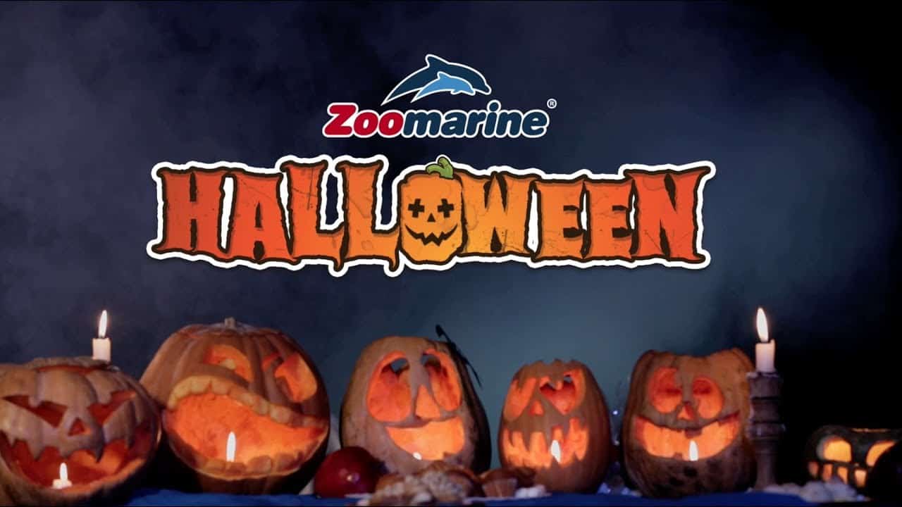 Family Halloween a Zoomarine: spettacoli e Halloween Nights Family Halloween a Zoomarine: spettacoli e Halloween Nights